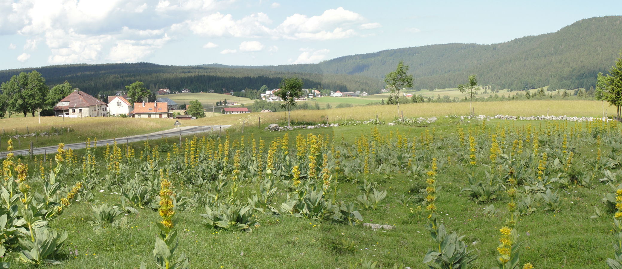 panorama-chapelle-des-bois