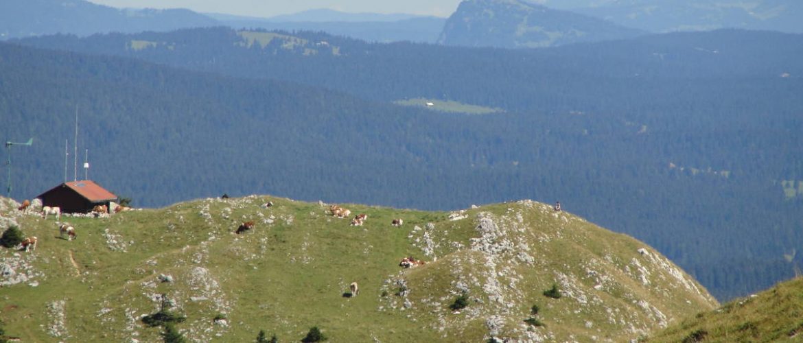 vue-sur-la-dent-de-vaulion-jura
